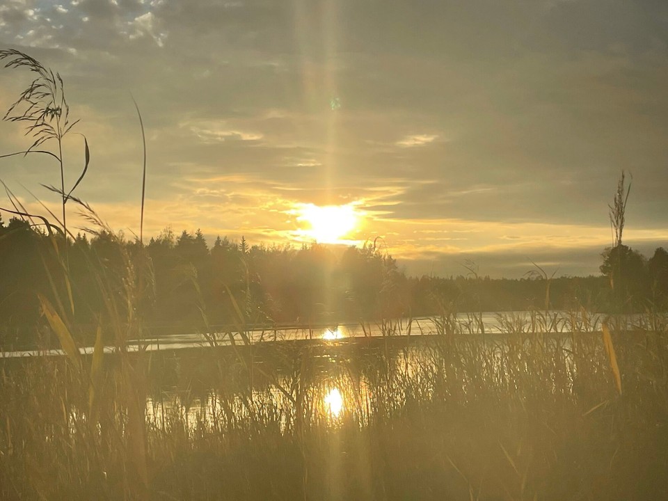 Finnland - Liesjärvi - Fantastischer Sonnenuntergang am See 