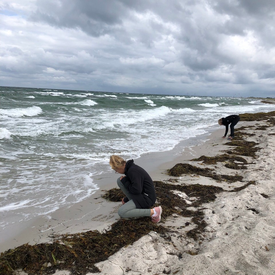 Schweden - Vellinge - 