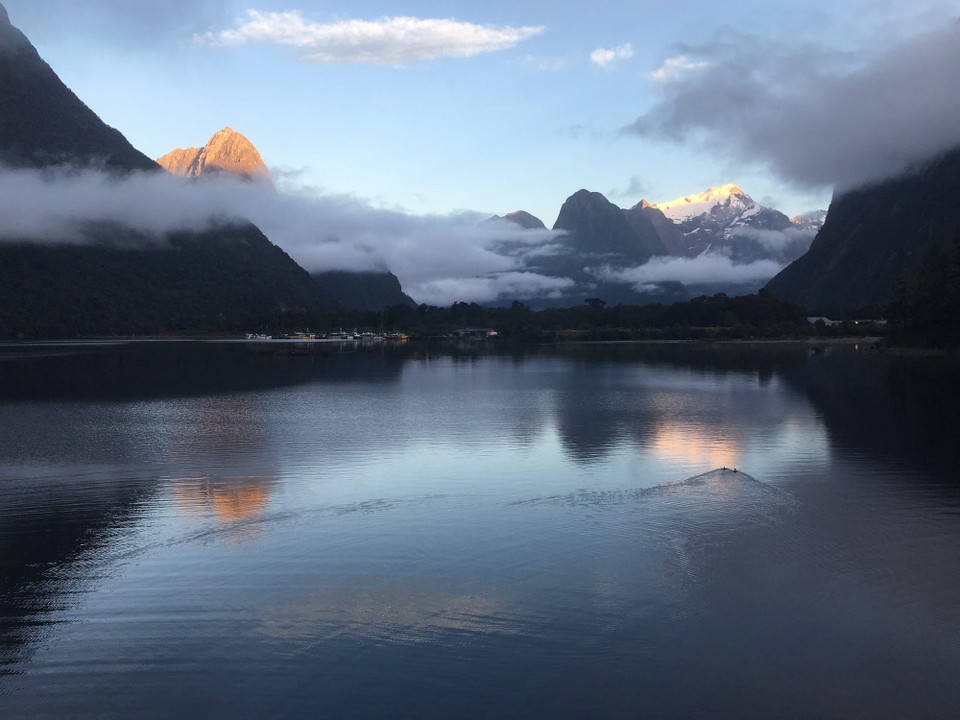 Neuseeland - Milford Sound - Morgenstimmung um 6.15 im Deep Water Basin. Das Wetter ist herrlich aber kühl.