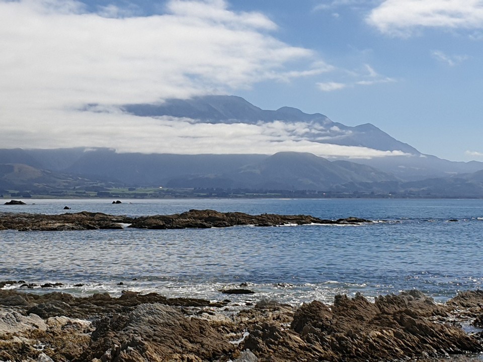Neuseeland - Kaikoura - 