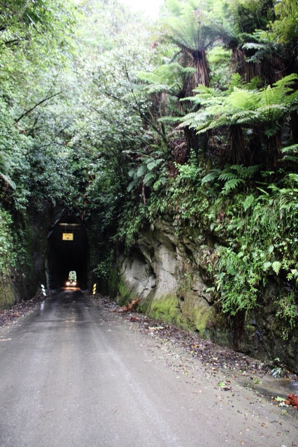 Neuseeland -  - 