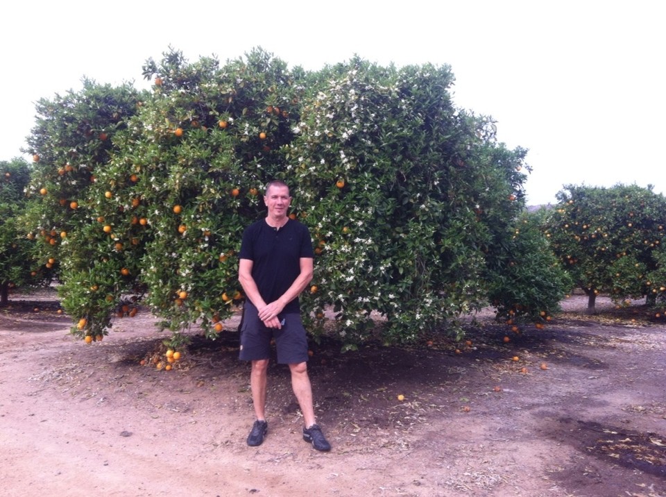 Egyesült Államok - Visalia - 