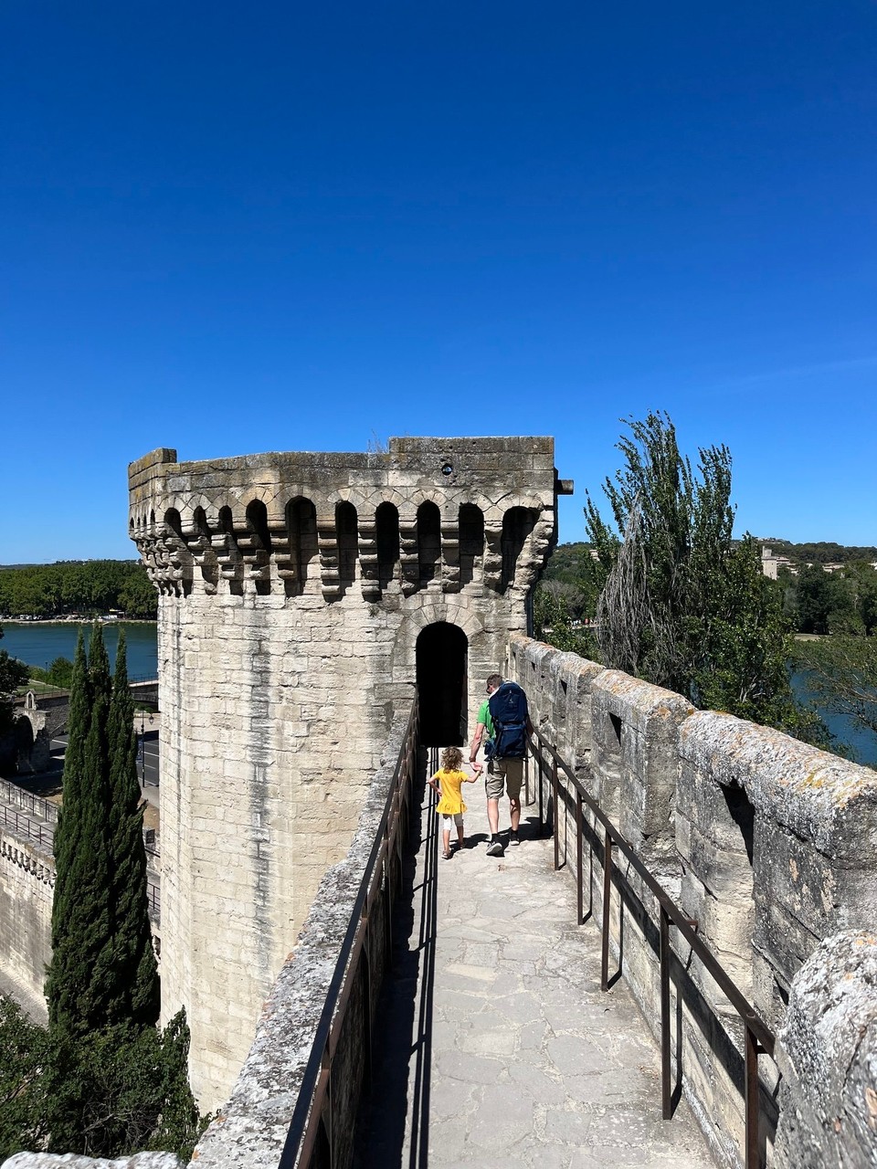 Frankreich - Avignon - 