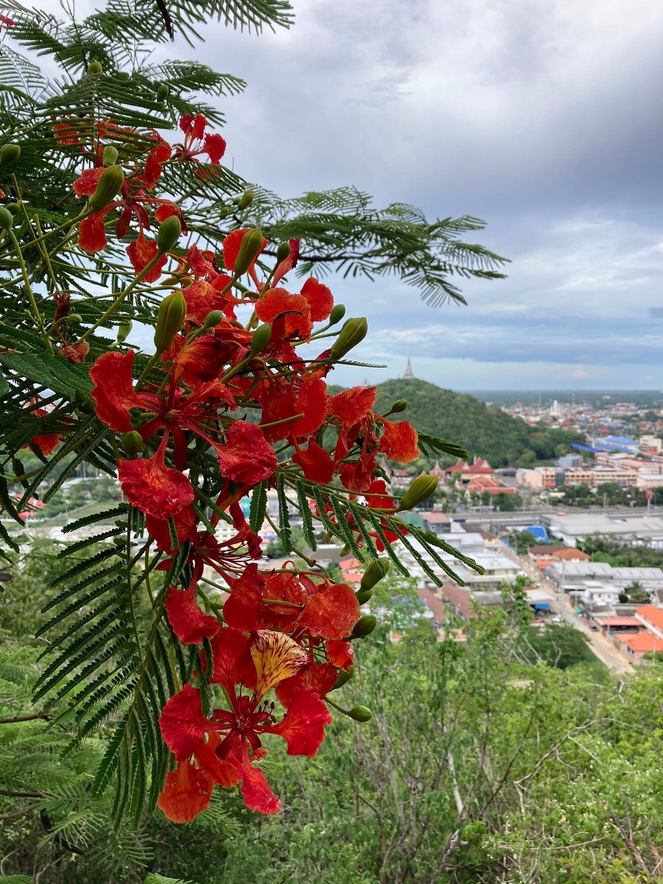 Thailand - Phetchaburi - Ausflugsziel für morgen im Blick 😀