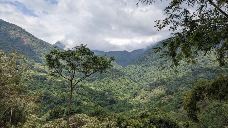 Kolumbien - Minca - 