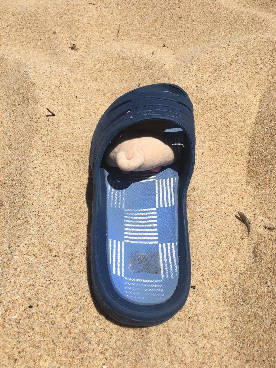 Australien - Bunbury - sieht sie mich?
