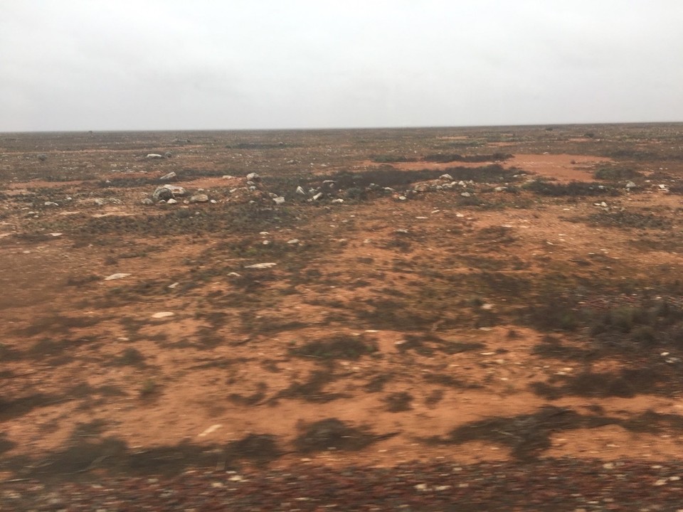 Australien - Rawlinna - 