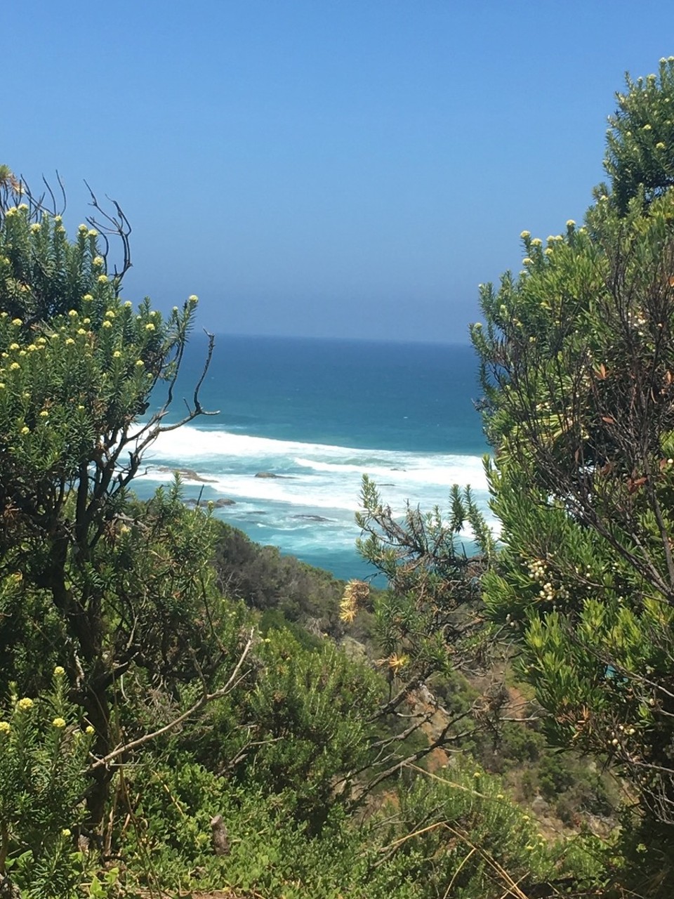 Australien - Warrnambool - 