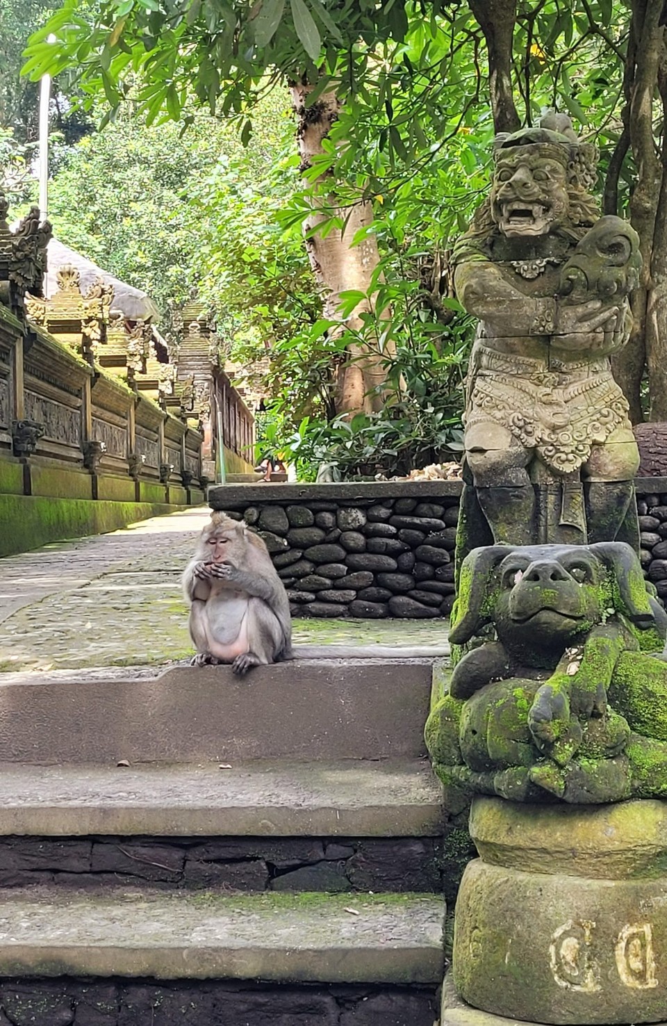 Indonesien - Ubud - 