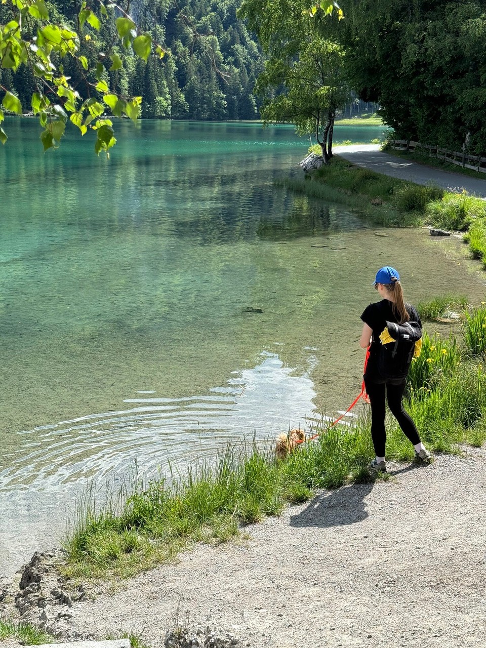 Österreich - Scheffau am Wilden Kaiser - 