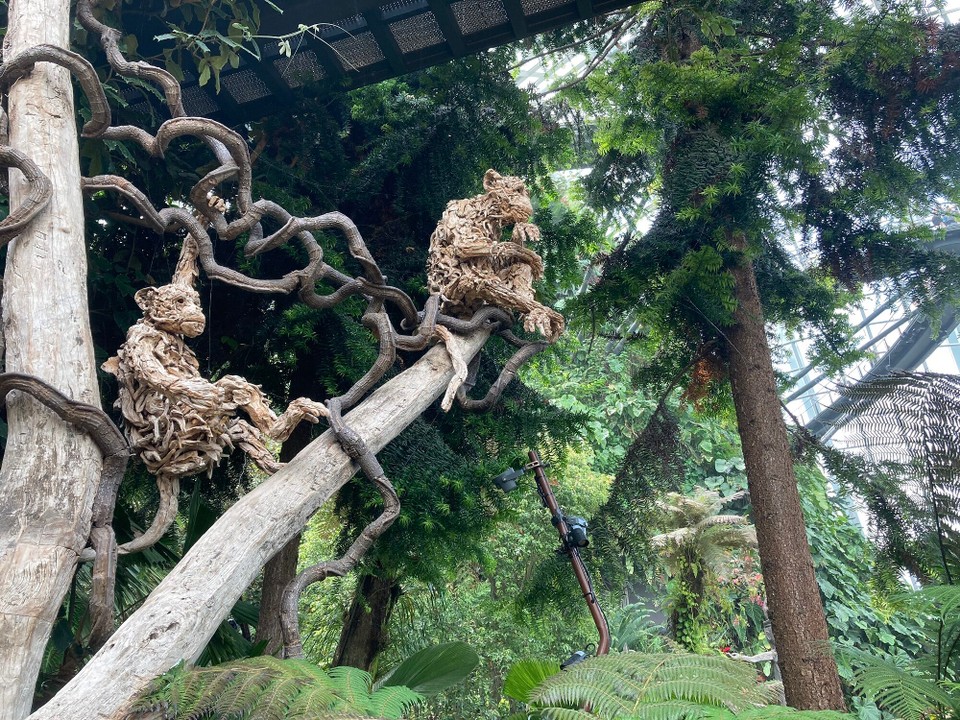 Singapur - Singapur - 