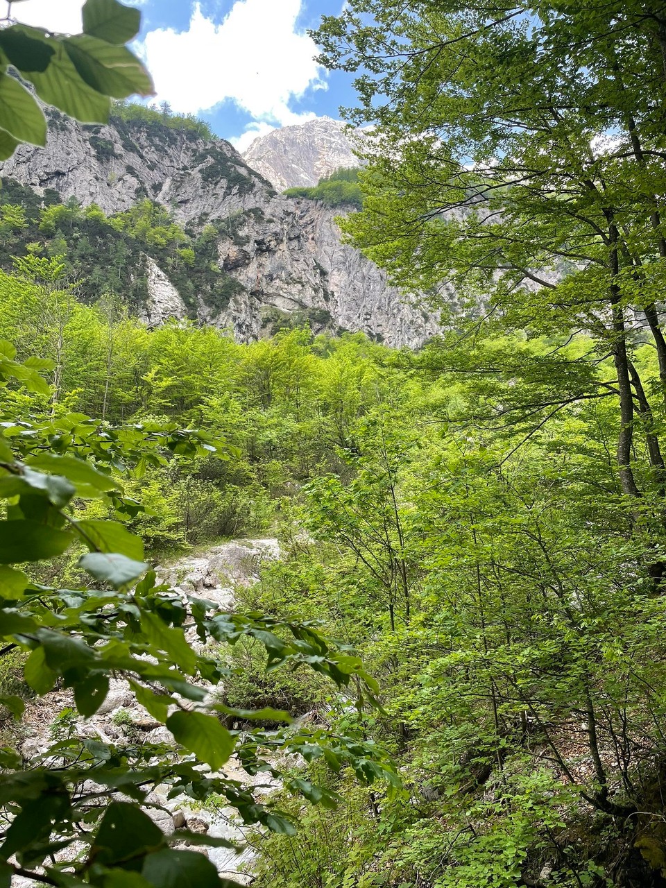 Slowenien - Solčava - Logar Tal - eingerahmt von den Gipfeln der Kamniker Alpen 