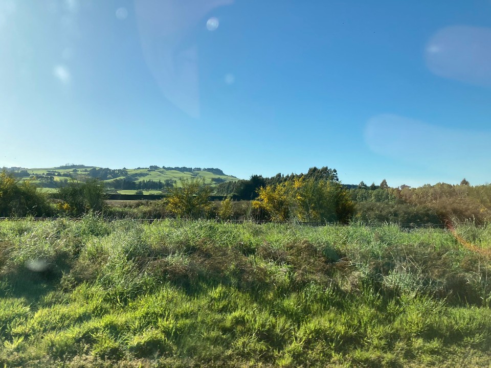 Neuseeland - Invercargill - 