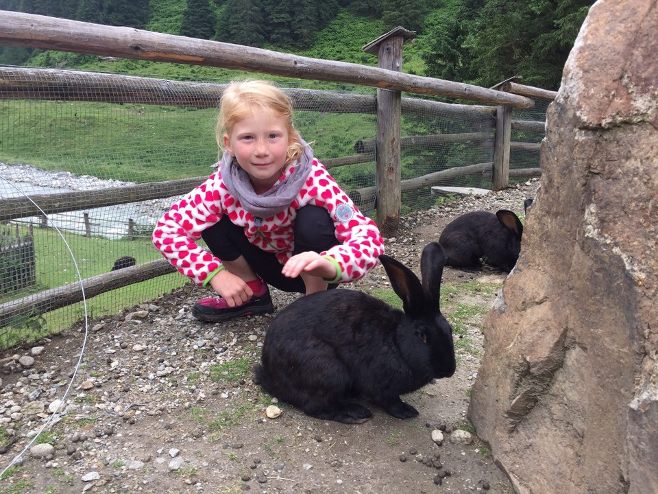 Österreich - Neukirchen am Großvenediger - Streichelzoo auf der Berndlalm