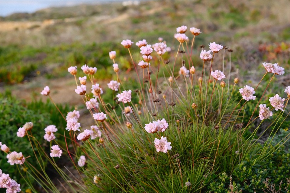 Portugal - Aljezur - 