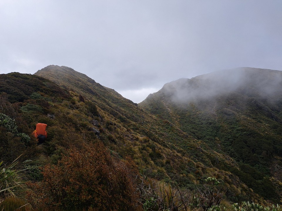 Neuseeland - Te Aroha trail PK - 