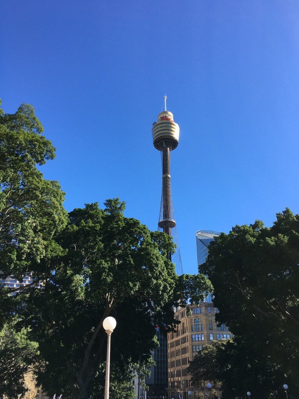 Australia - Sydney - Natürlich gibt es auch in dieser Stadt einen Tower - davon wurde uns aber eher abgeraten - also darum hier nur ein Bild von außen