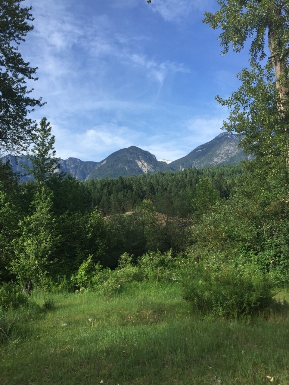Canada - Whistler - Terugrijden is geen straf.