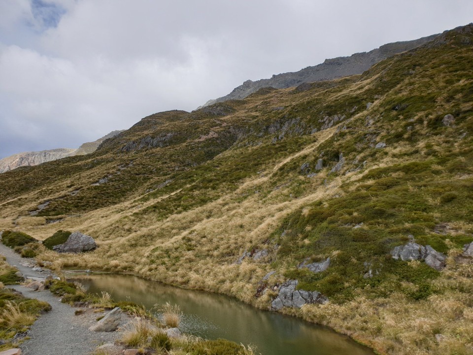 Neuseeland - Aoraki - 