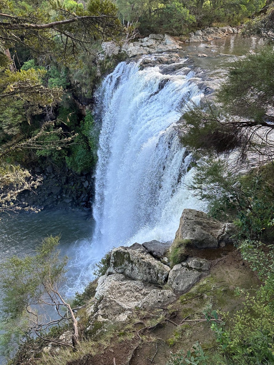 Neuseeland - Paihia - Wasserfall bei Kirikiri