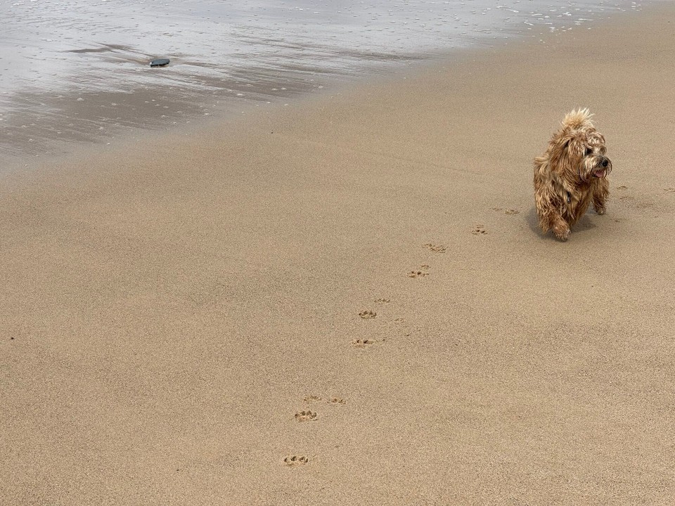 Portugal - Aljezur - 