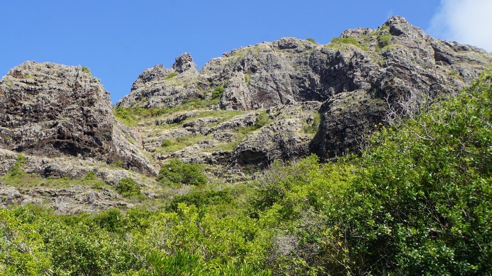 Mauritius -  - 