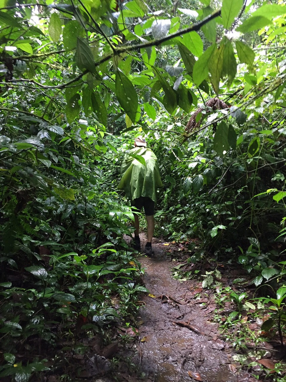 Costa Rica - La Fortuna - Wo ist Stibe?