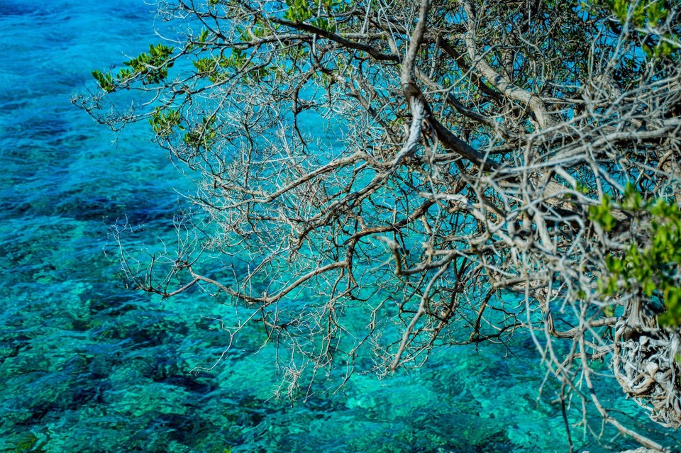 Aruba - Oranjestad - Aruba