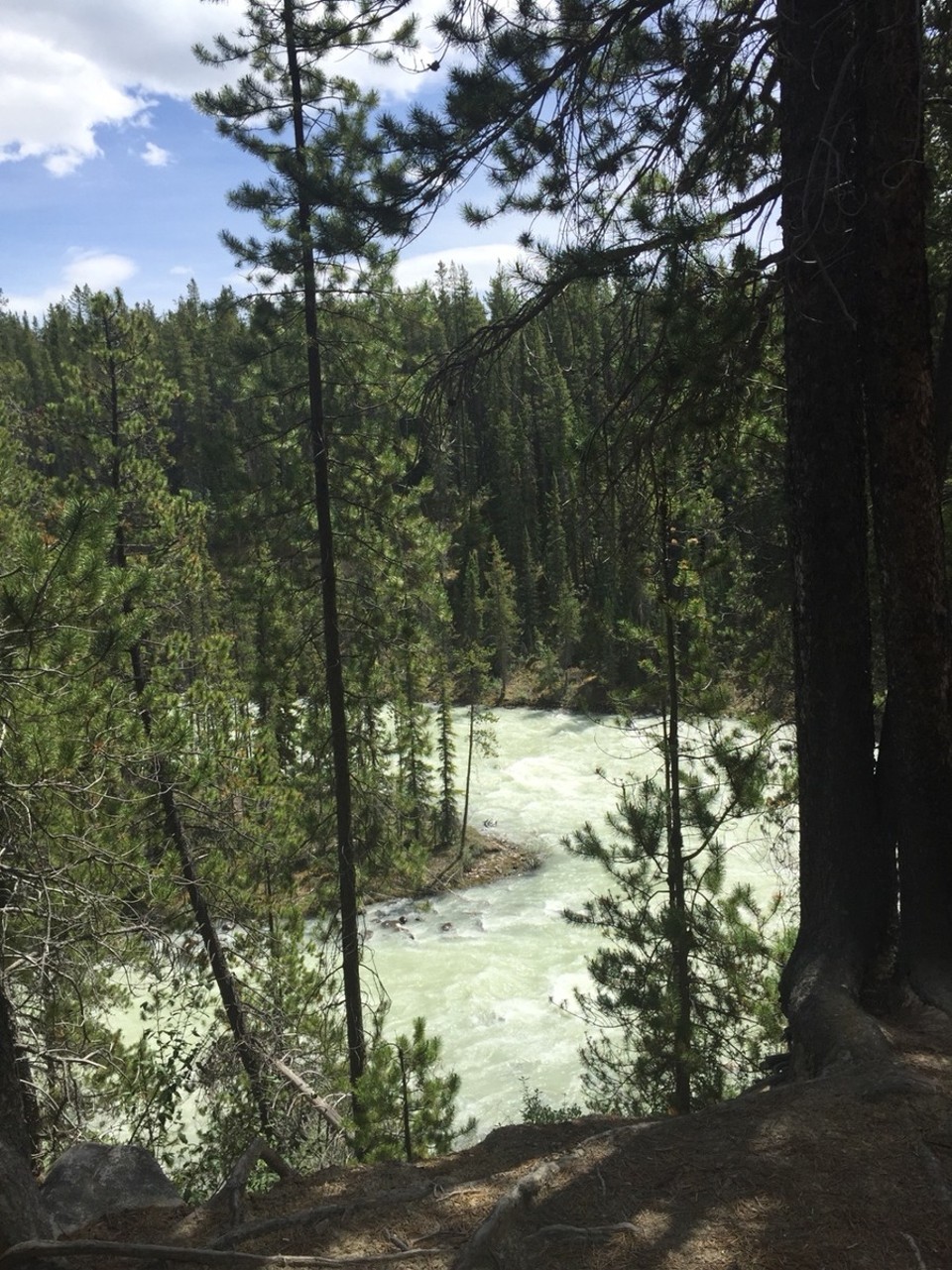 Canada - Jasper to Athabasca Glacier - Sunwapta