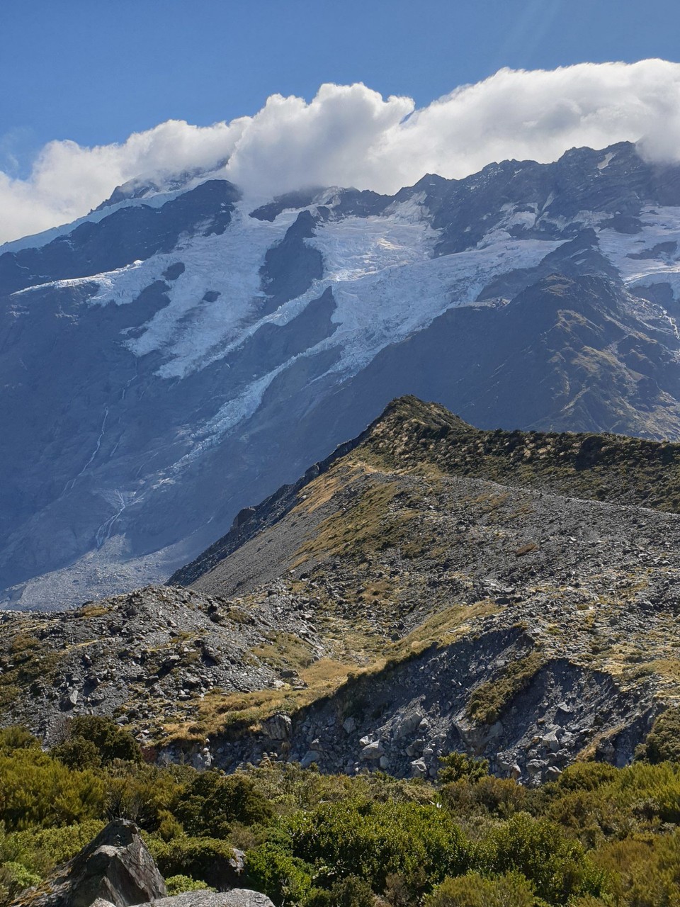 Neuseeland - Aoraki - 
