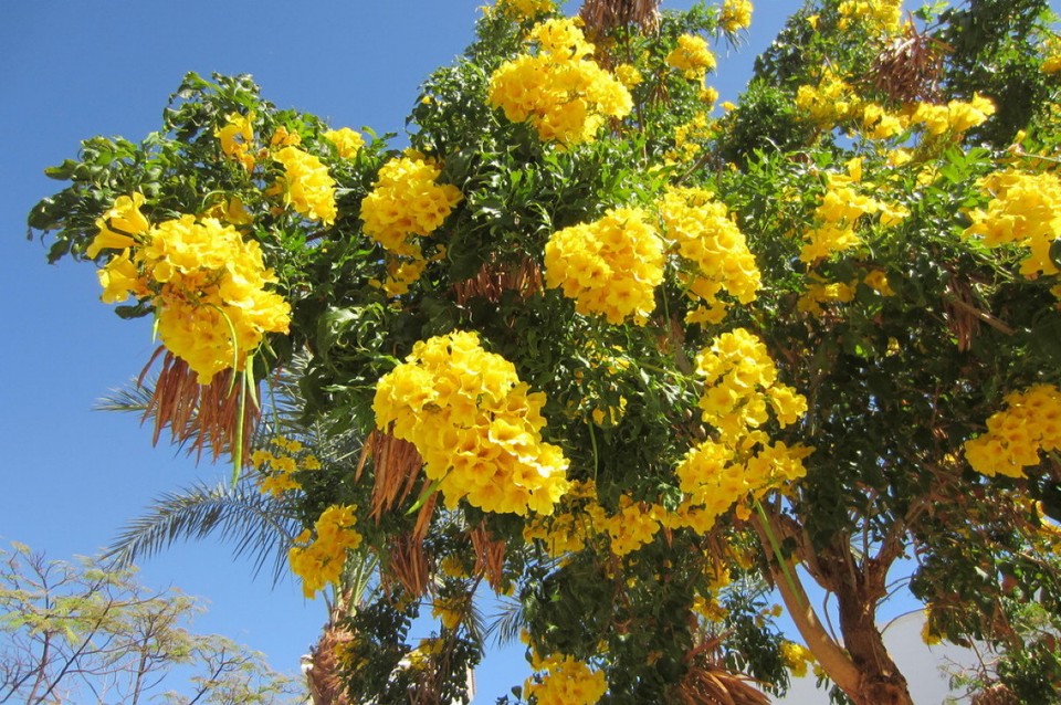 Ägypten - Hurghada - schöne, gepflegte Anlage