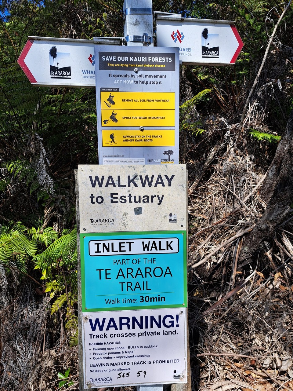 Neuseeland - Matapouri - 