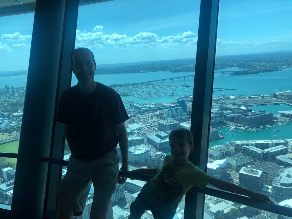 Neuseeland - Auckland - Blick von oben. Im Hintergrund die Auckland Harbour Bridge.