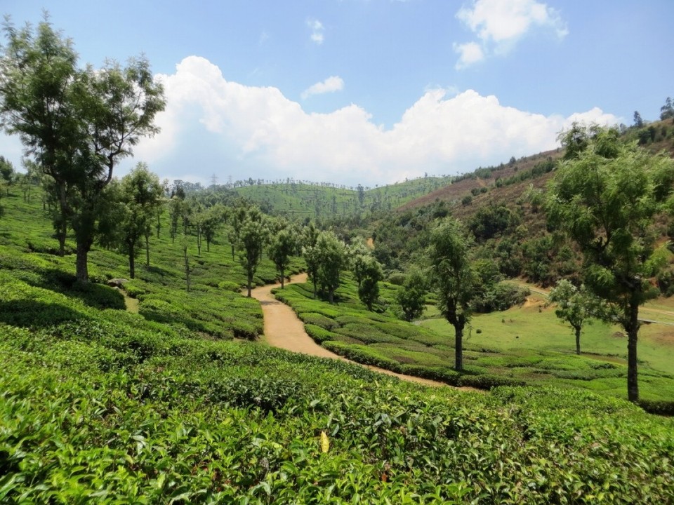 Indien - Sholur - 