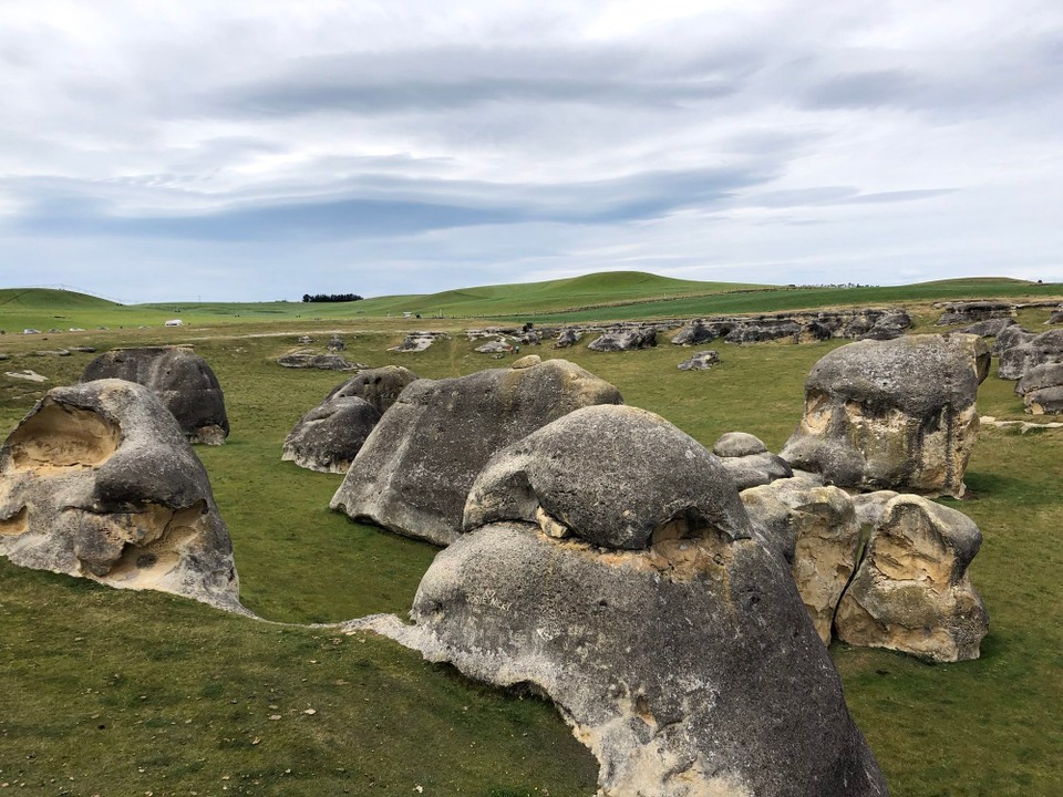 Neuseeland - Livingstone - Die Elefant Roks sind riesig