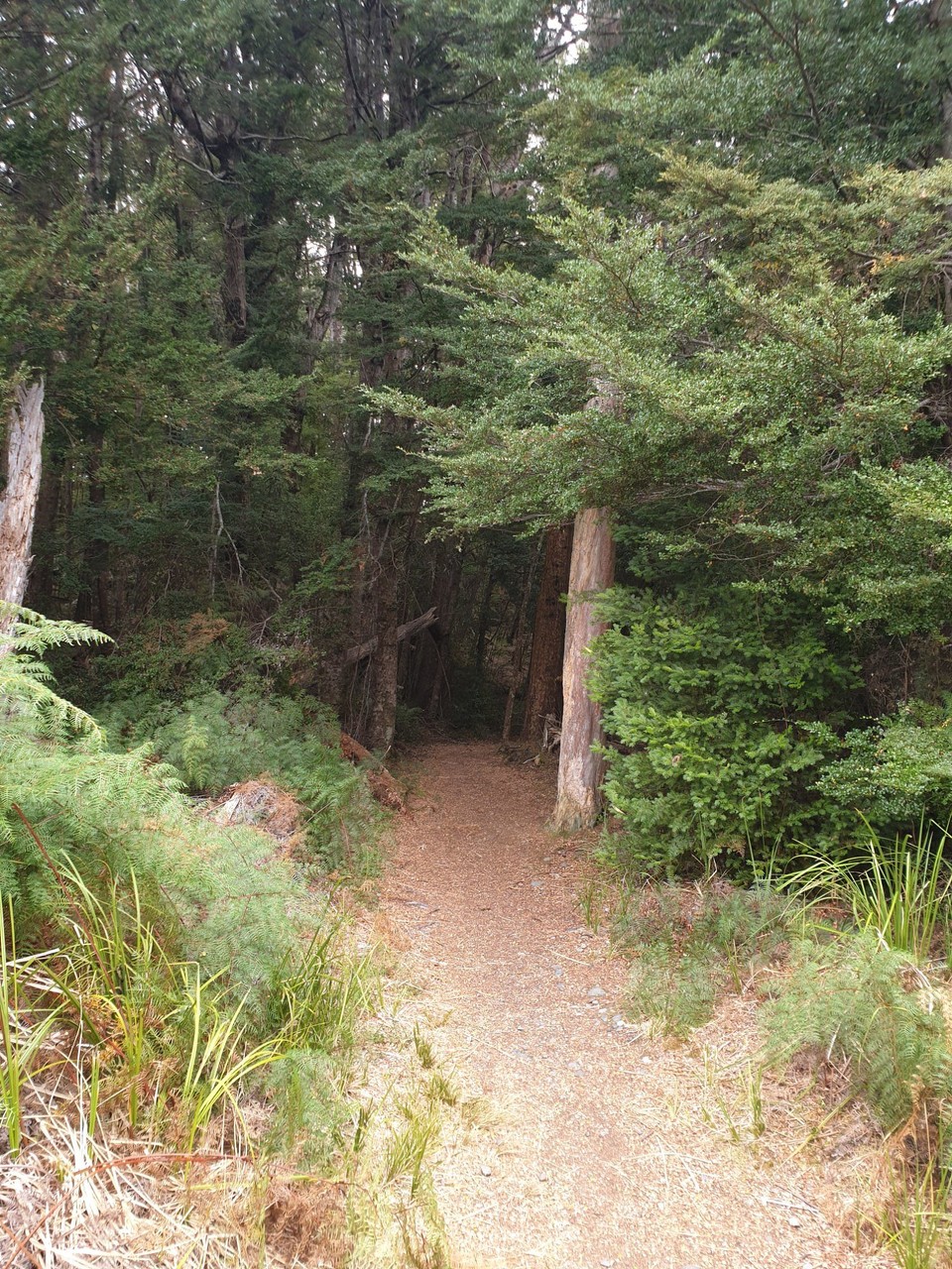 Neuseeland - Te Anau - 