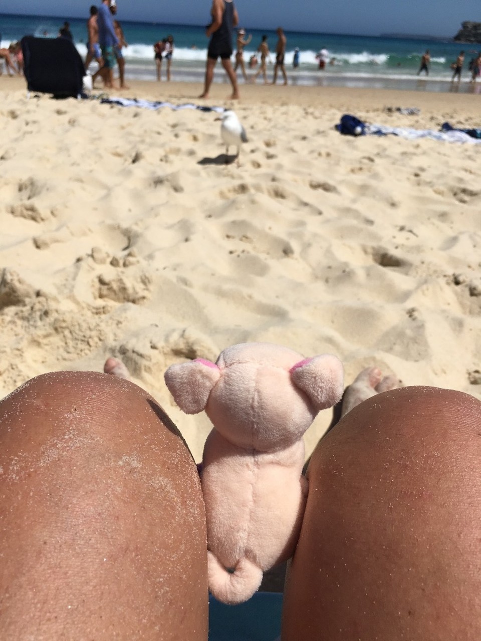 Australien - Bondi Beach - Spielst du mit mir?