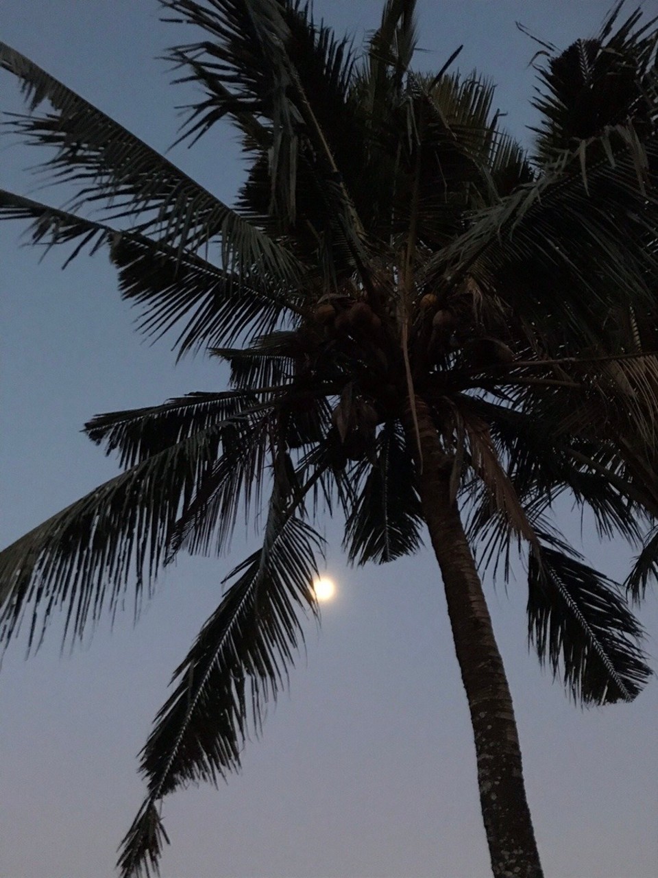 Indonesia - Gianyar - 