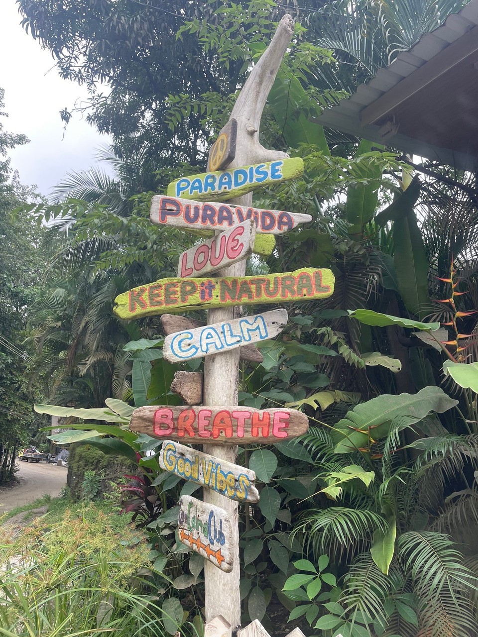 Costa Rica -  - Morgen geht es weiter - Tschüss Santa Teresa 👋🏻 