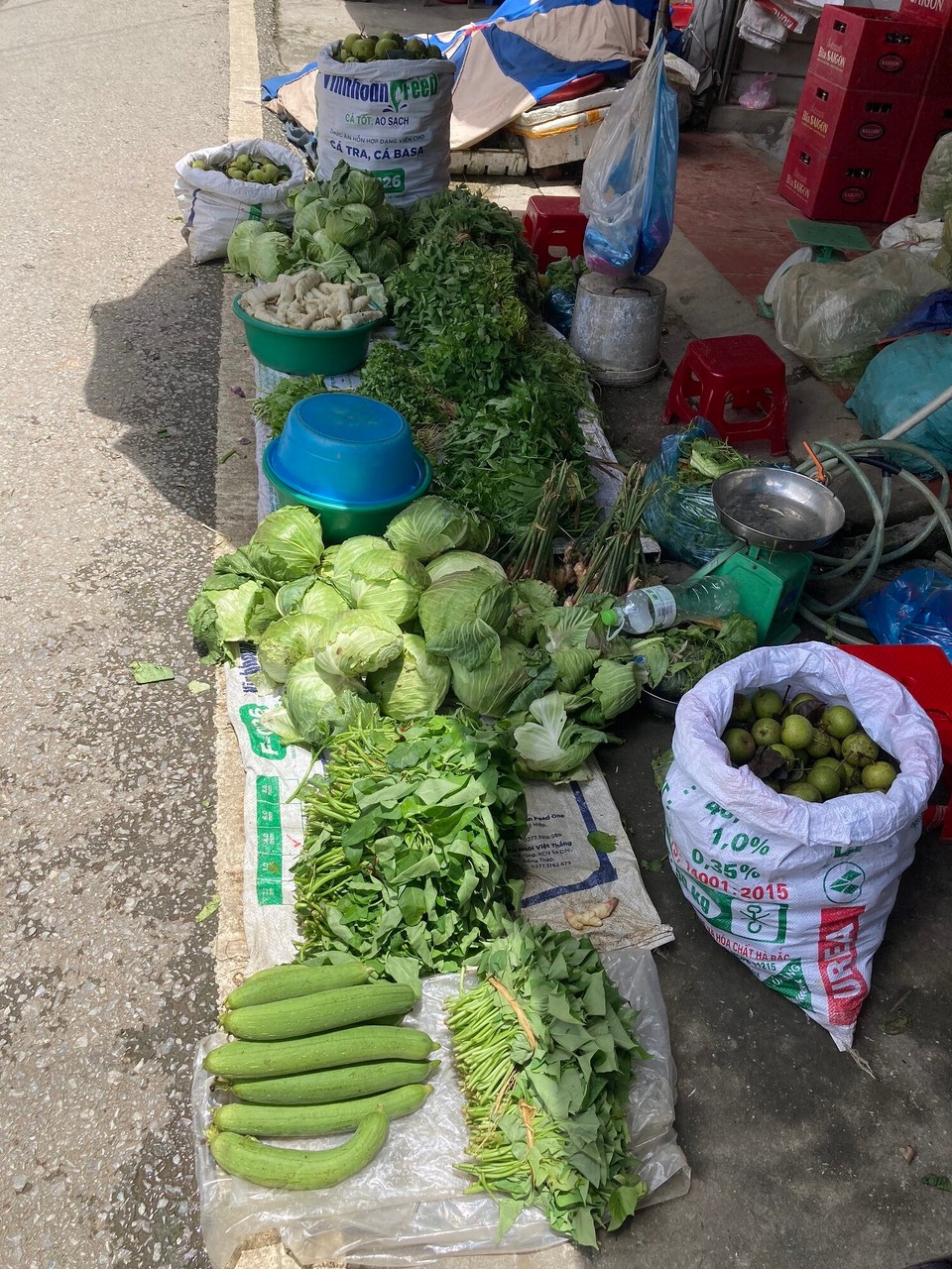 Vietnam - Dong Van - 