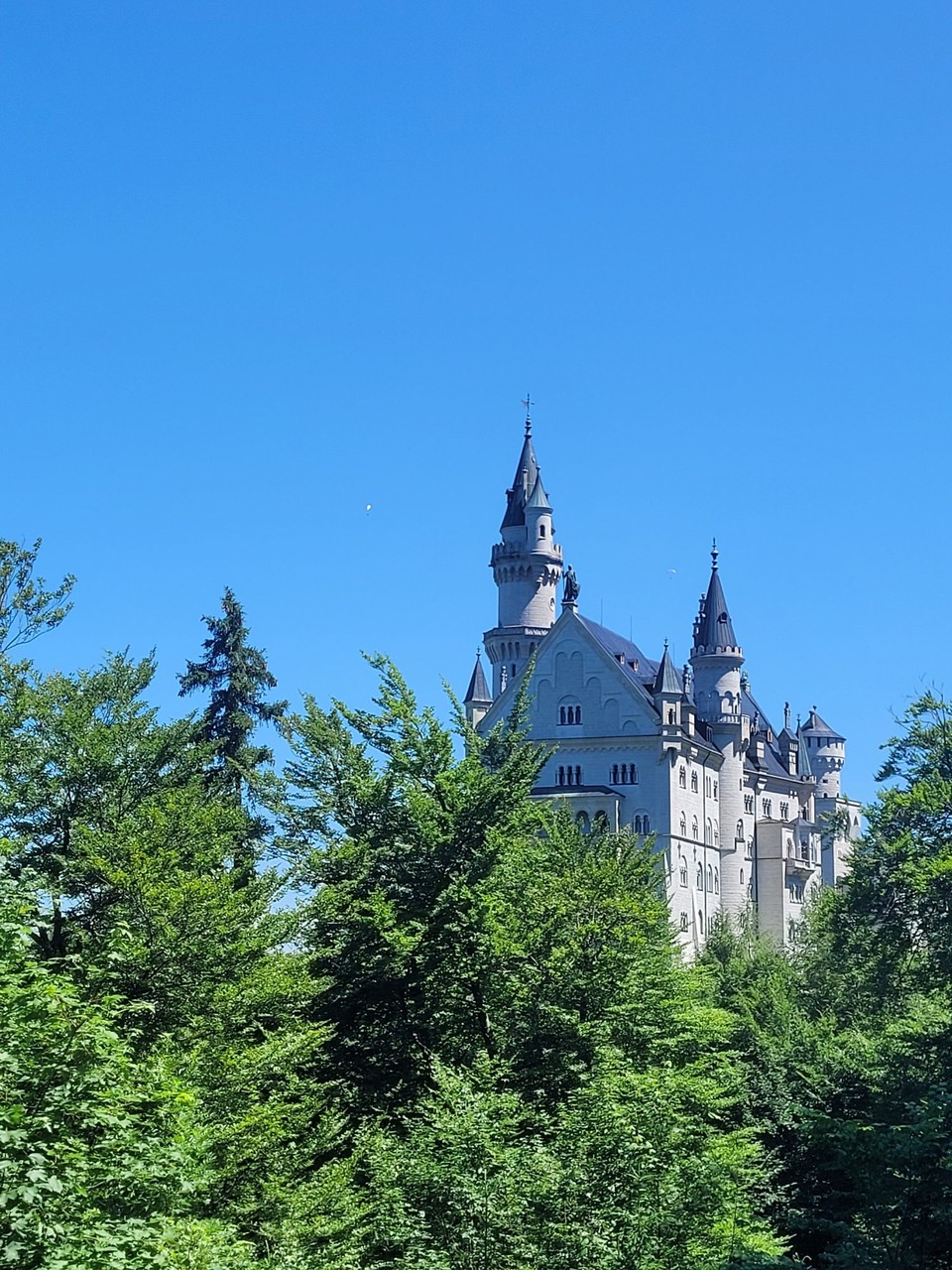 Deutschland - Schwangau - 