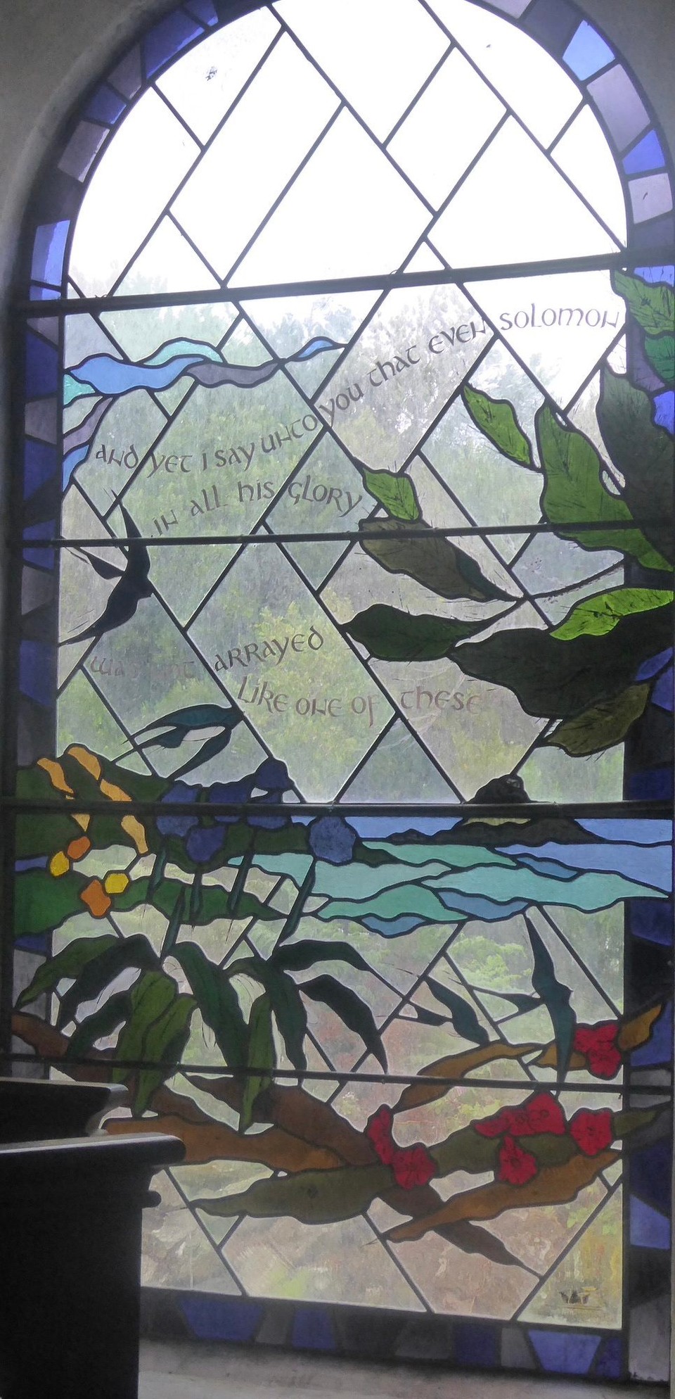 United Kingdom - Isles Of Scilly - …”And yet I say unto you that even Solomon in all his glory was not arrayed like one of these”.