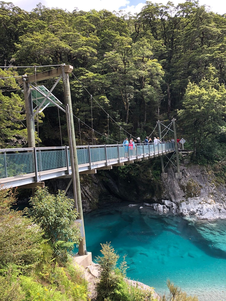 Neuseeland - Jackson-Bucht - Heute gingen wir auf eine Brücke 
