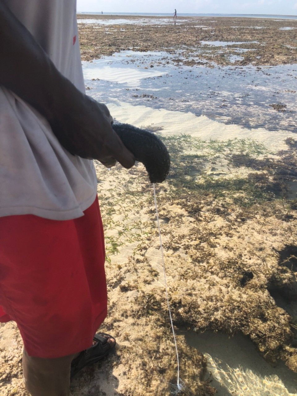 Kenia - Kwale - 