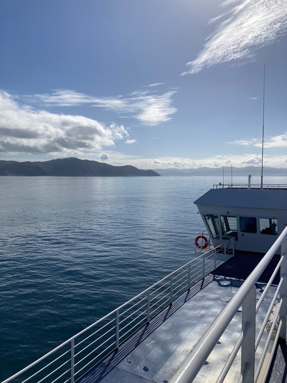 Neuseeland - Upper Hutt - Und dann nur noch nach vorn 🤓😎