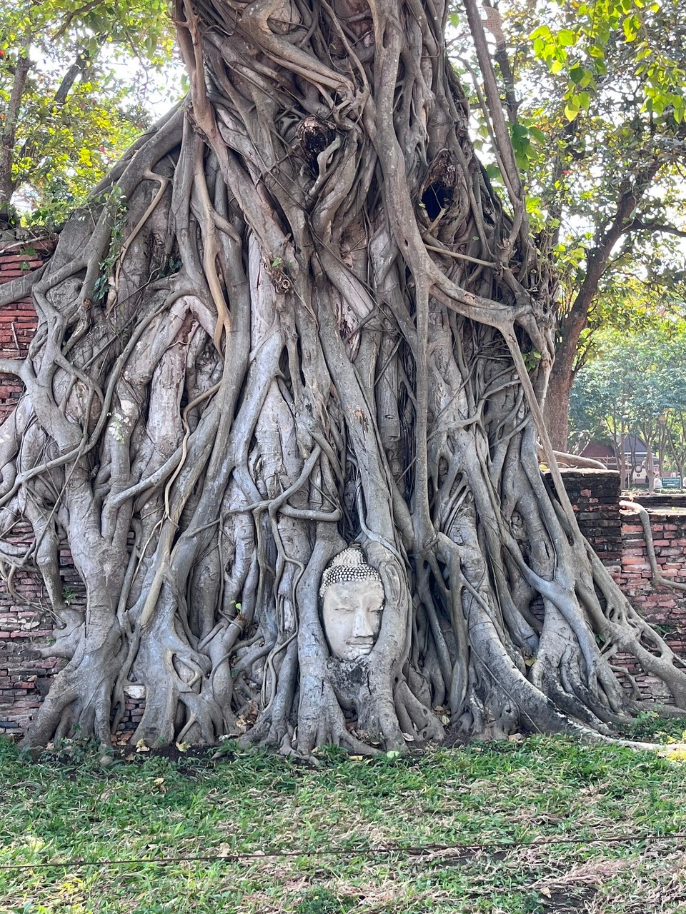 Thailand - Ayutthaya - 