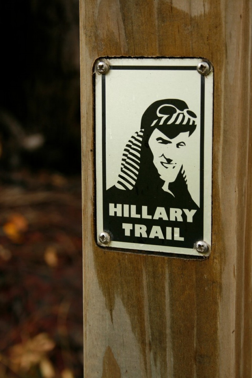 Neuseeland - Piha - 