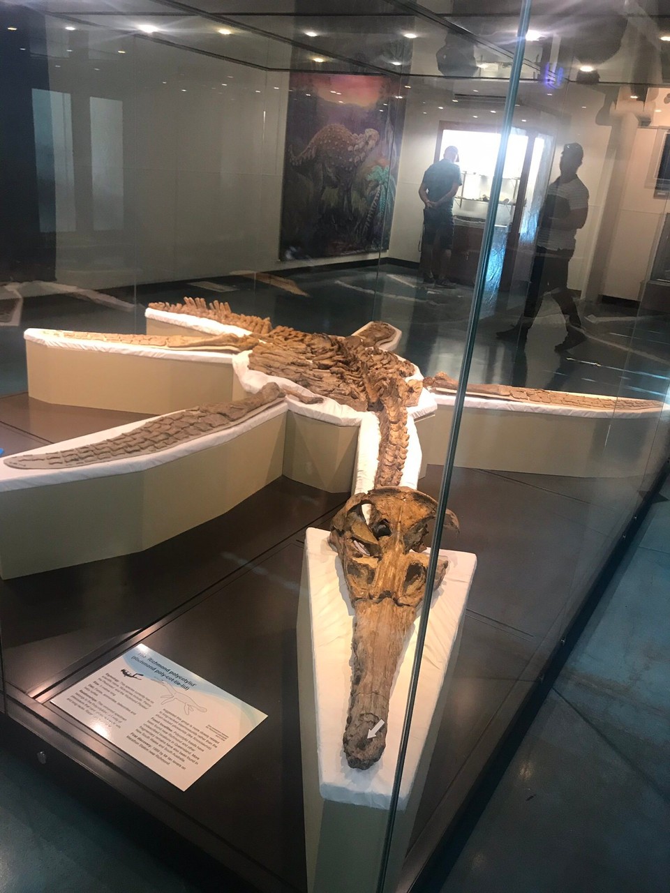 Australia - Richmond - 