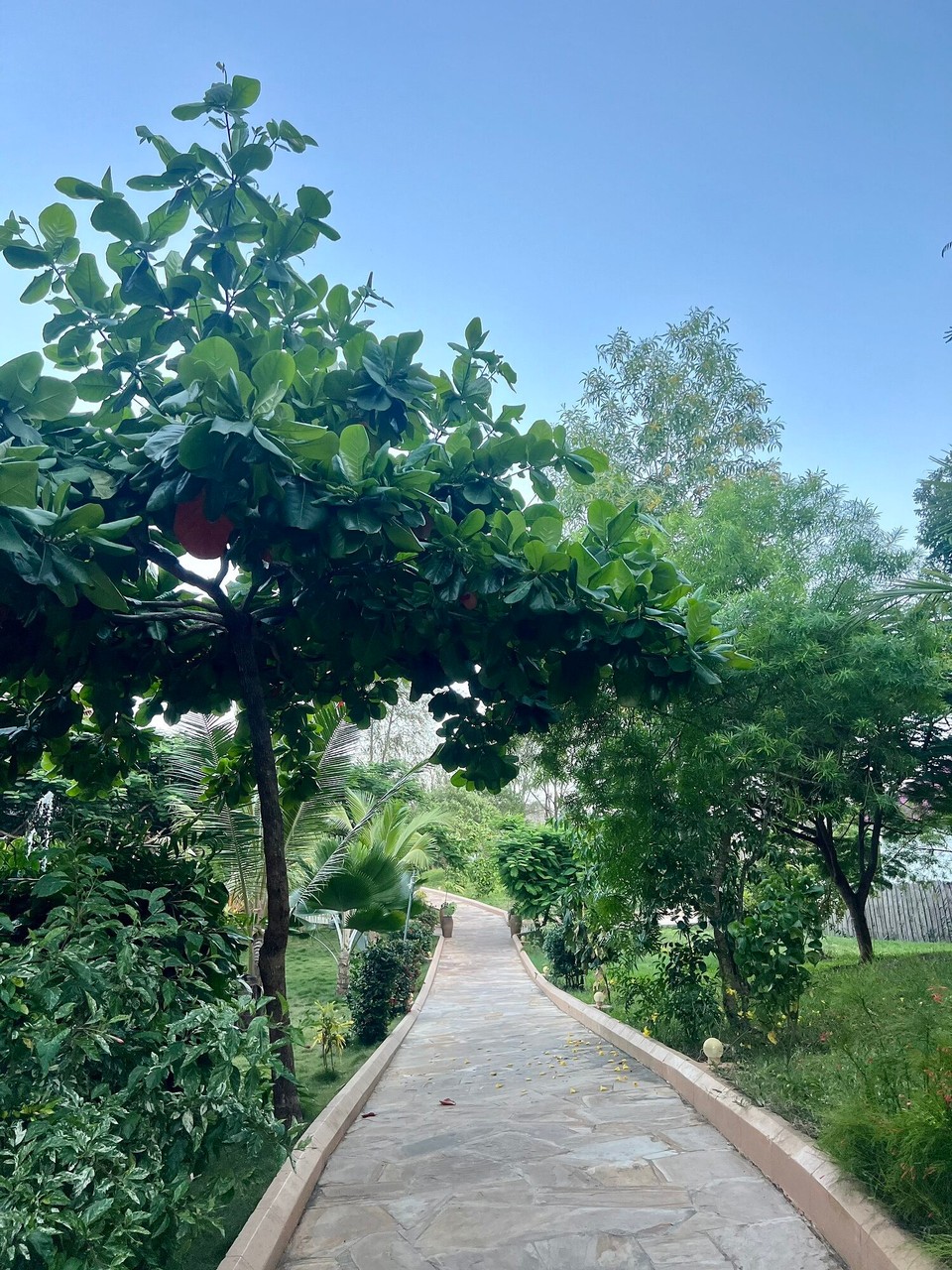 Tansania -  - 