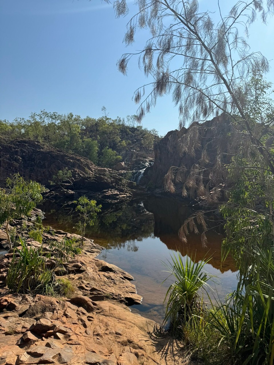 Australien - Litchfield Park - 